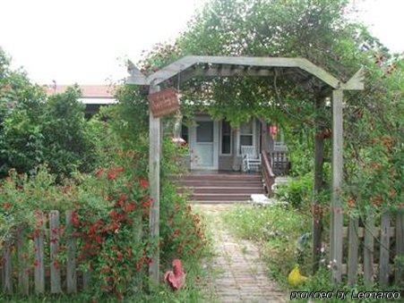 Allen Acres Bed And Breakfast DeRidder Ngoại thất bức ảnh